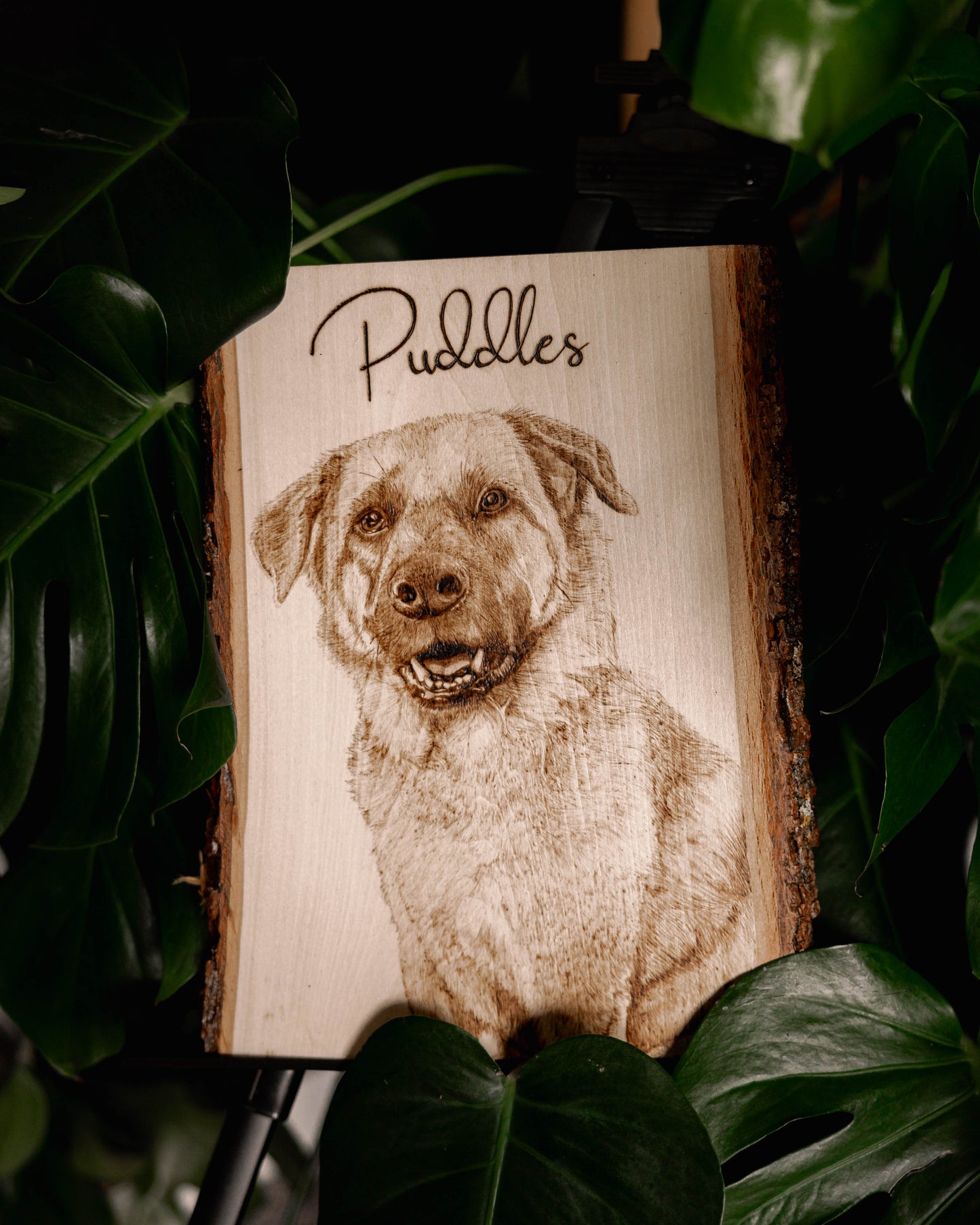 Custom Portraits