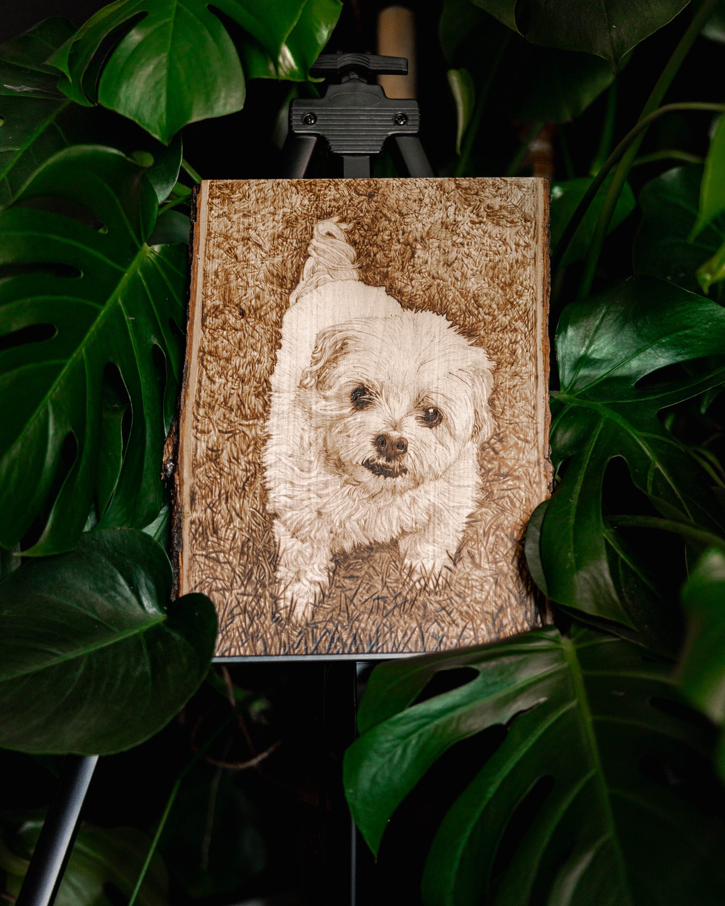 Custom Portraits