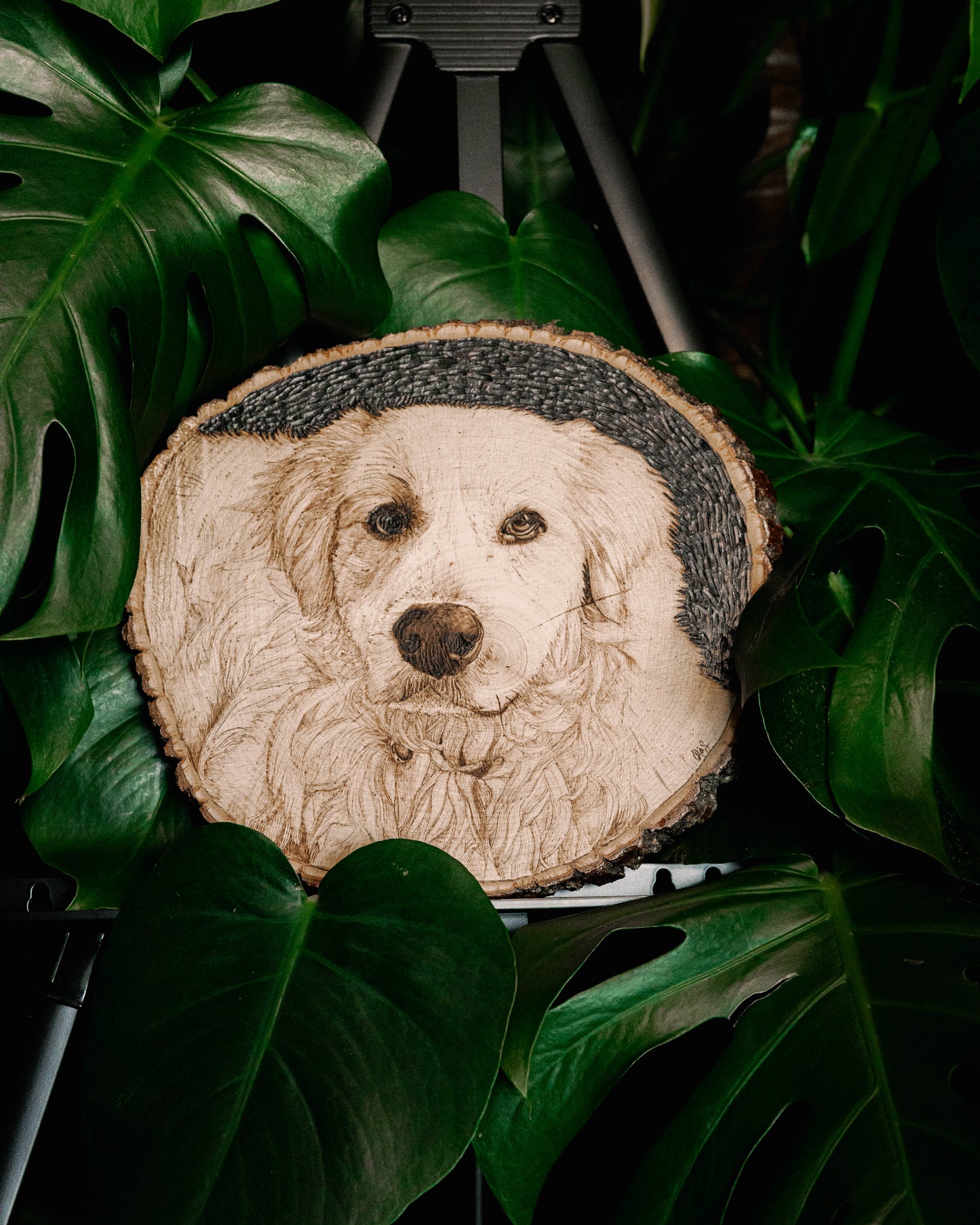 Custom Portraits
