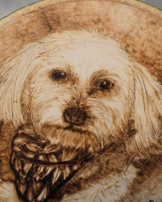 Hand-Burned Ornament