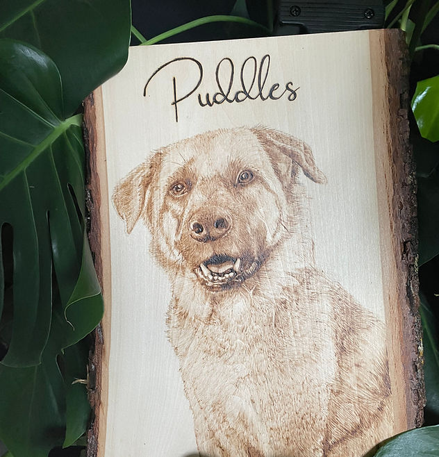 Portraits